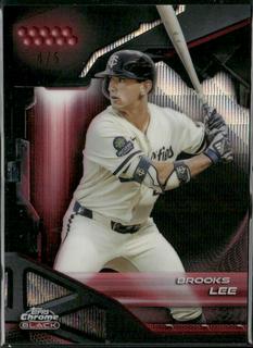 Brooks Lee