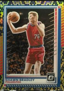 Shawn Bradley