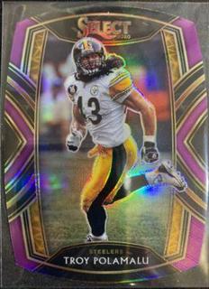 Troy Polamalu