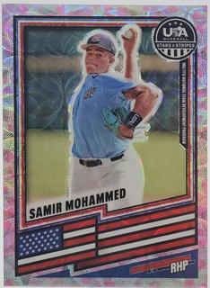 Samir Mohammed
