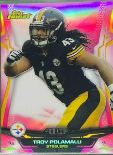Troy Polamalu