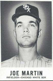 Joe Martin
