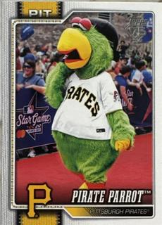 Pirate Parrot Pittsburgh Pirates