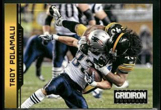 Troy Polamalu