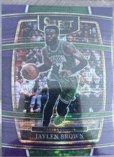 Jaylen Brown