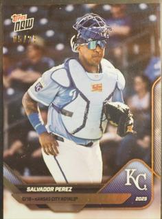 Salvador Perez