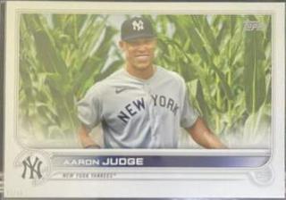 Aaron Judge