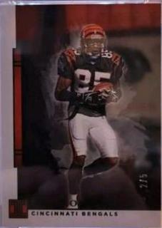 Chad Johnson