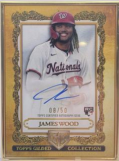 James Wood