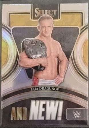 Ilja Dragunov #3 Wrestling Cards 2024 Panini Select WWE And NEW