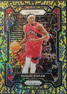 Pascal Siakam