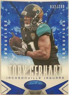 Toby Gerhart
