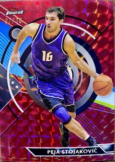 Peja Stojakovic