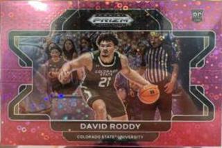 David Roddy