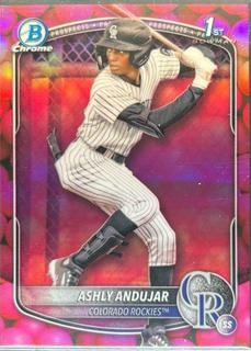 Ashly Andujar