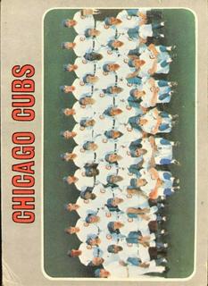 Cubs Team