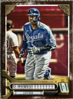 Salvador Perez