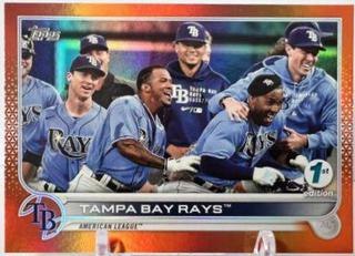 Tampa Bay Rays