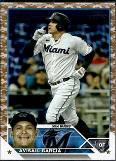 Avisail Garcia