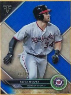 Bryce Harper