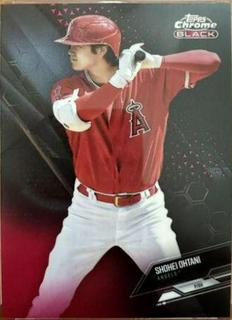 Shohei Ohtani
