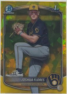 Joshua Flores