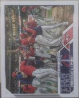 Minnesota Twins