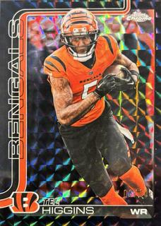Tee Higgins