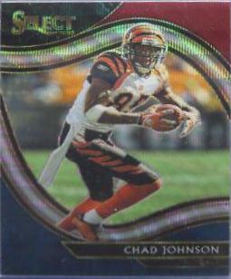 Chad Johnson