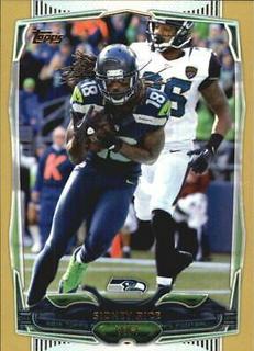 Sidney Rice