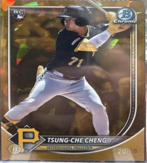 Tsung-Che Cheng