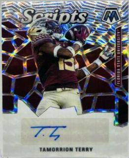 Tamorrion Terry