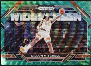 Dillon Mitchell