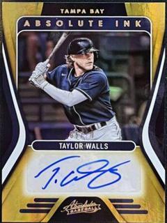 Taylor Walls