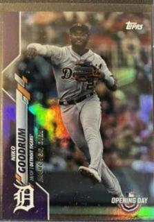 Niko Goodrum