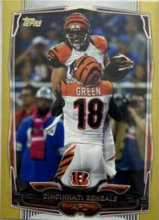 Cincinnati Bengals