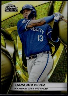 Salvador Perez
