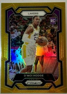 D'Moi Hodge