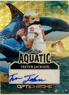 Trever Jackson
