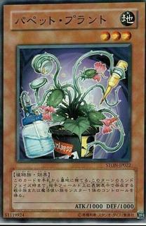 Puppet Plant STON-JP022
