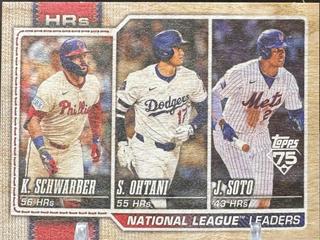 National League Leaders HRs