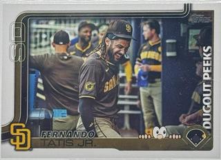 Fernando Tatis Jr.