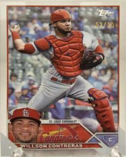 Willson Contreras