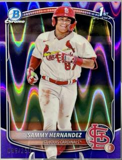 Sammy Hernandez
