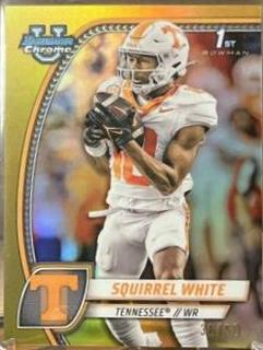 Squirrel White