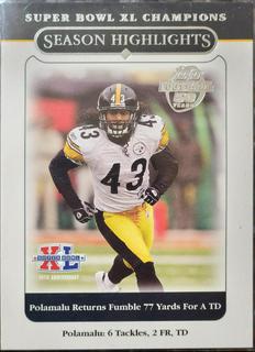 Troy Polamalu
