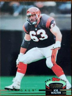 Joe Walter