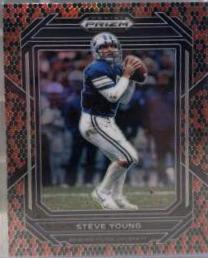 Steve Young