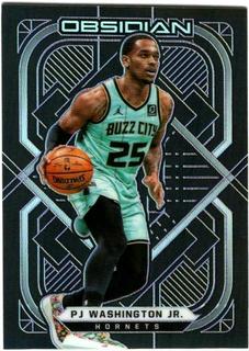 PJ Washington Jr.