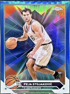 Peja Stojakovic